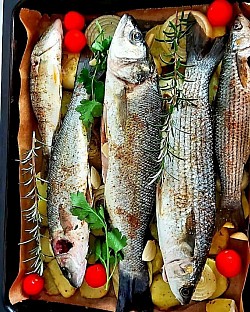 Fish ready for baking